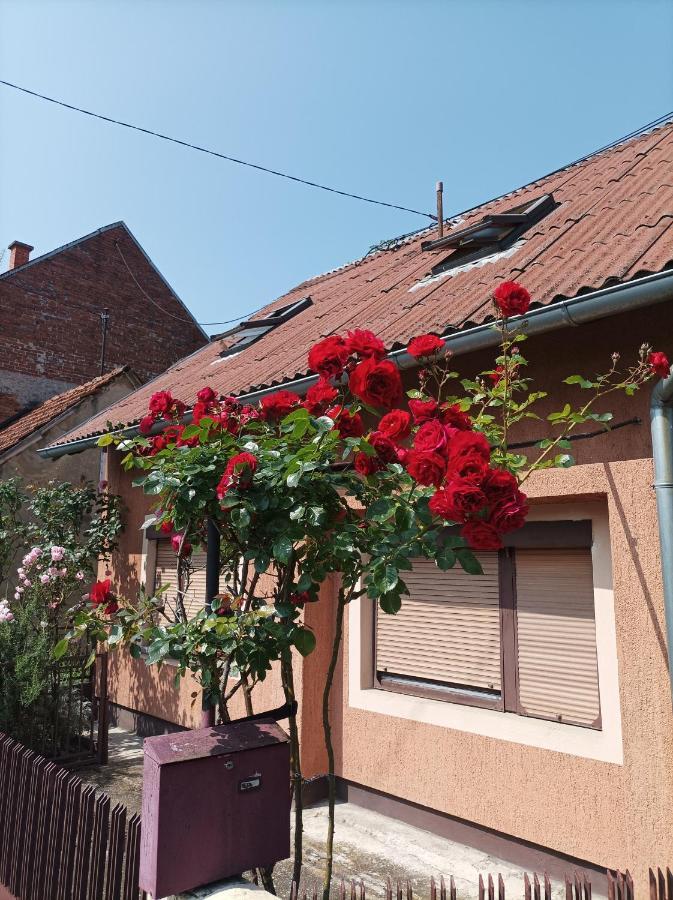 Ferienwohnung Annabelle Zagreb Exterior foto